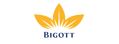 BIGOTT-LOGO
